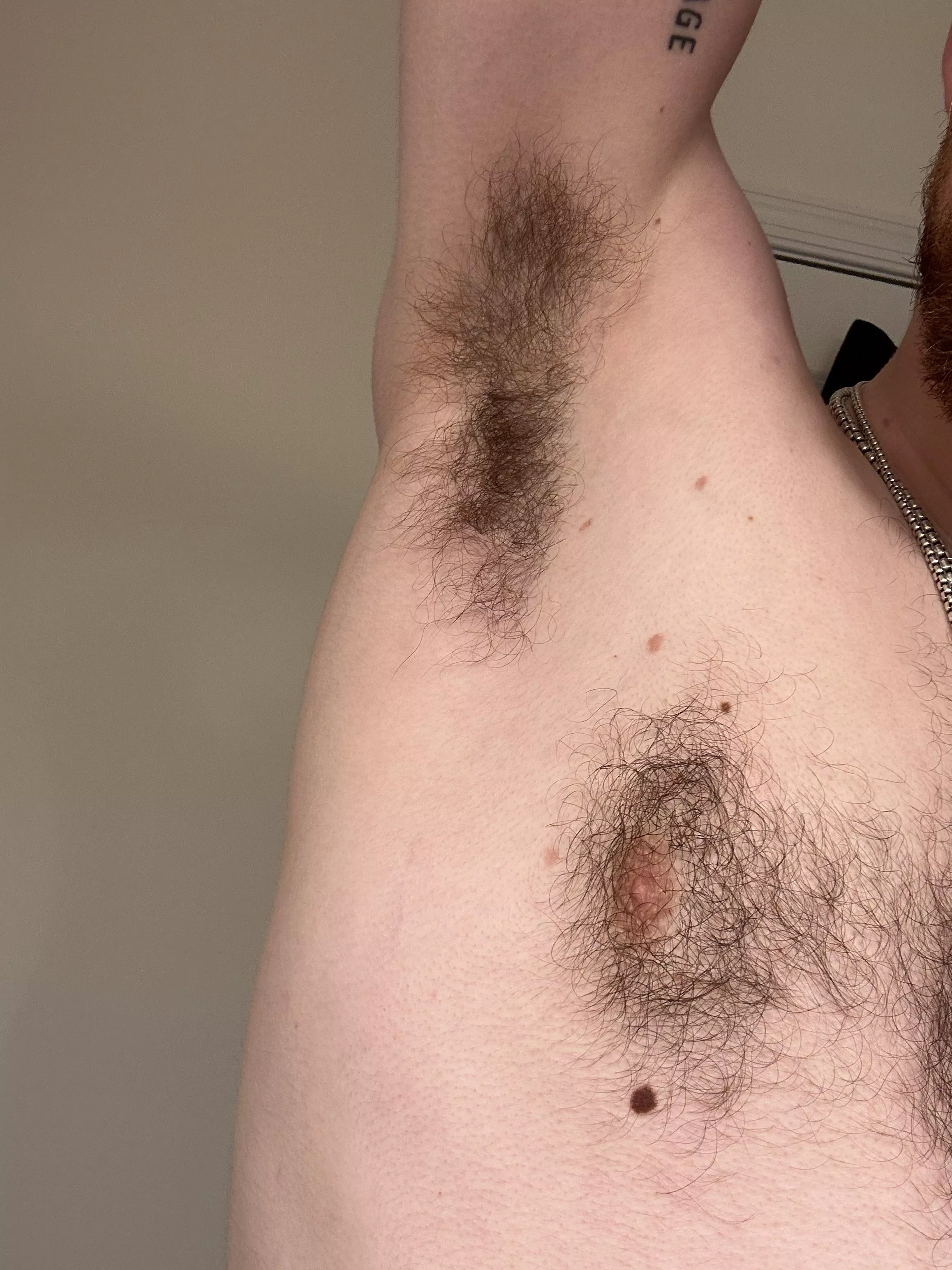 A little pit action to start the day