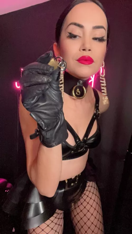 Begging won’t save you now!