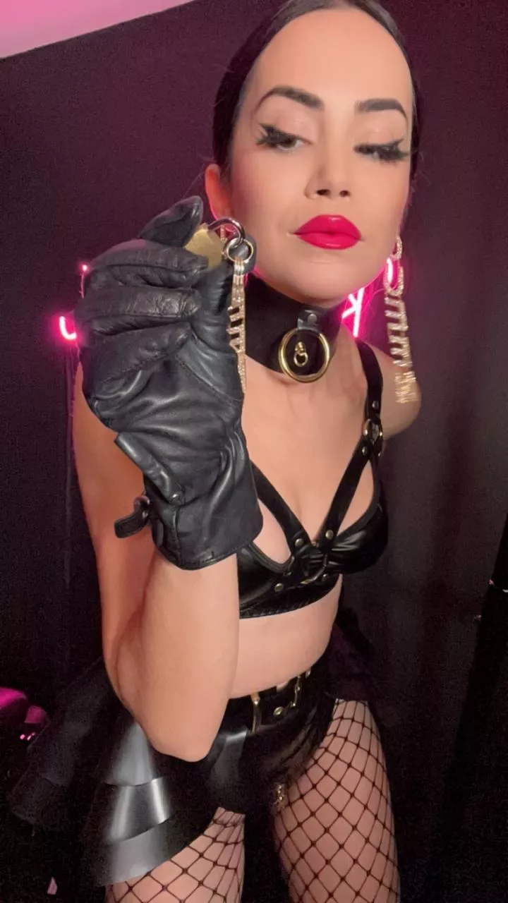 Begging won’t save you now!