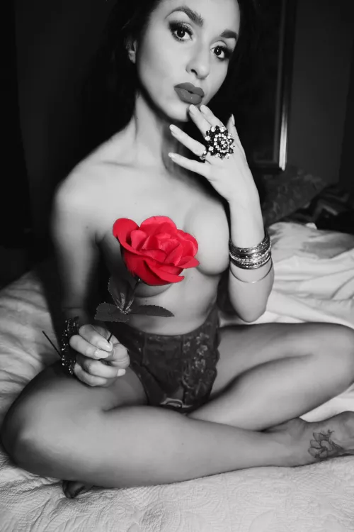 By suggestion sharing this rose