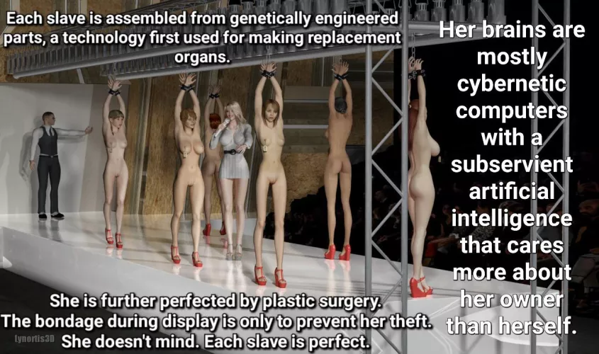 Each slave is perfect.