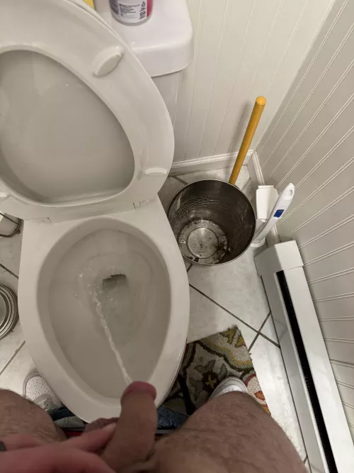 Feeling like you should be the toilet tonight