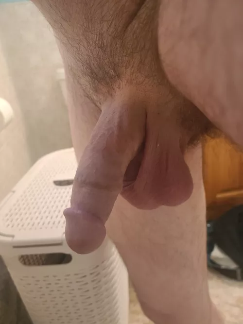 Get daddy nice and hard. (40)