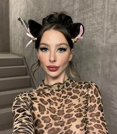 I hope you are looking for a new kitty … this one needs a home ^.^