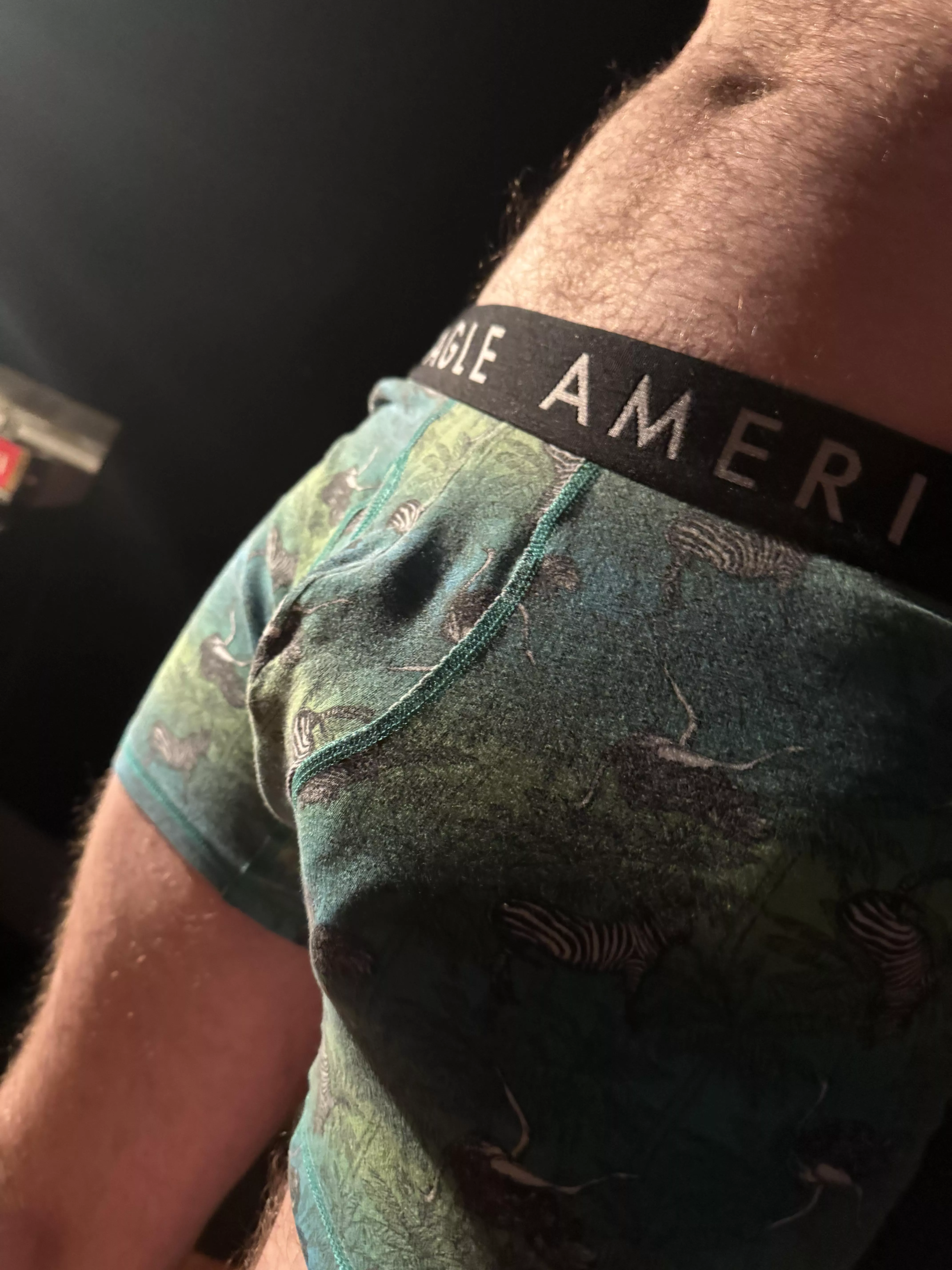 I like to think these undies leave just enough to the imagination