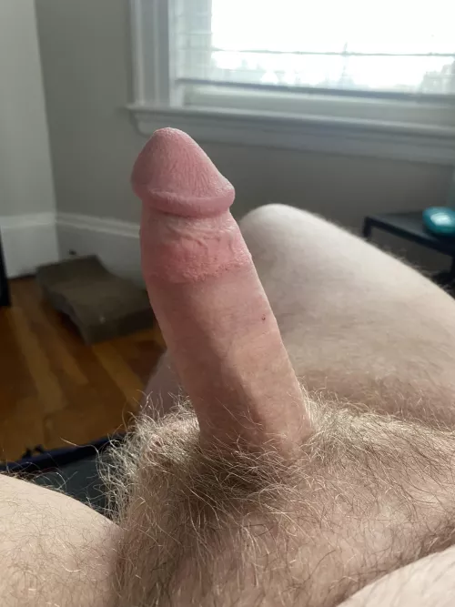I think I have a perfect cock. Do you agree?