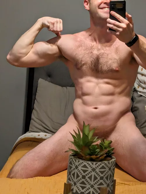 Indoor House Plants Increase Productivity....Allegedly