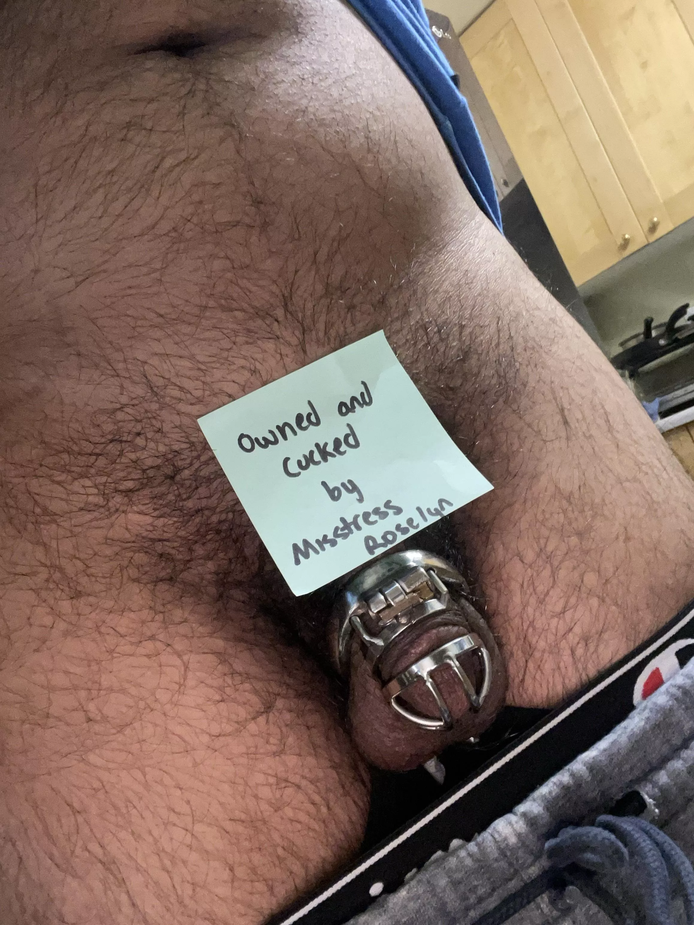 My new brat enjoying being cucked