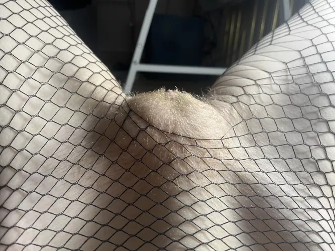 My pussy mound was caught by fishnet 🥹