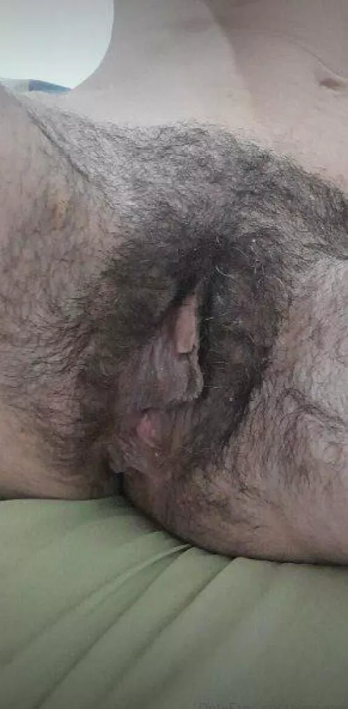 Nothing is ever too hairy