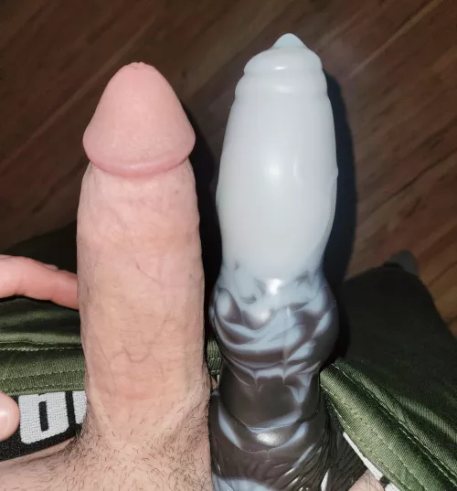 One? Or both?? (M Diego)