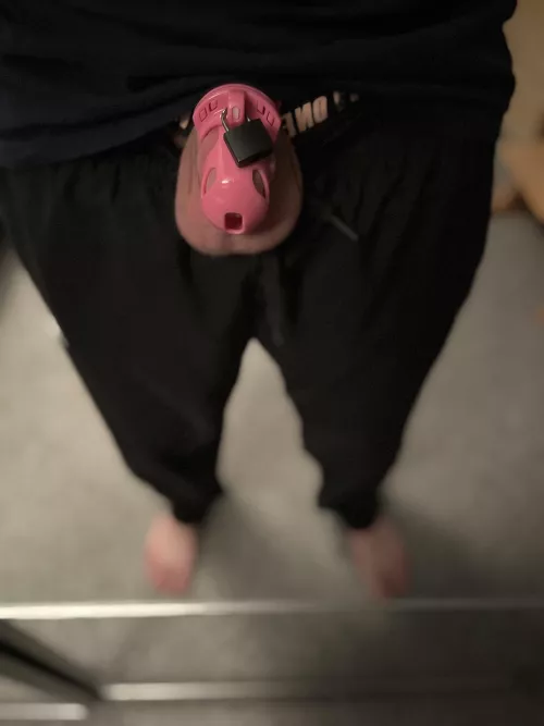 Spend my exam week locked 🔐