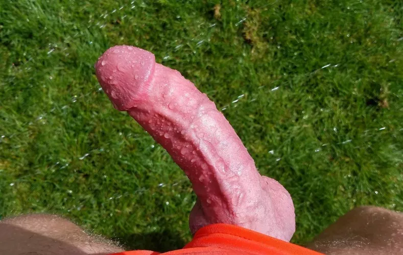 the sprinkler at the park got my cock wet
