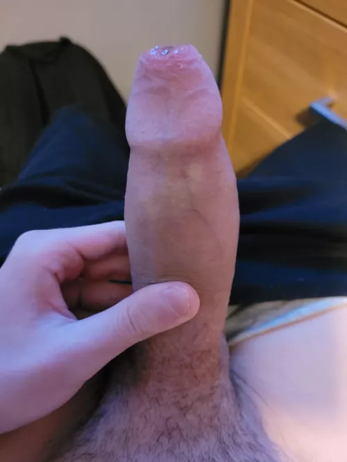 Thoughts on my hard cock?