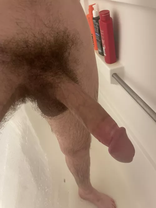 Who wants to make it squeaky clean?