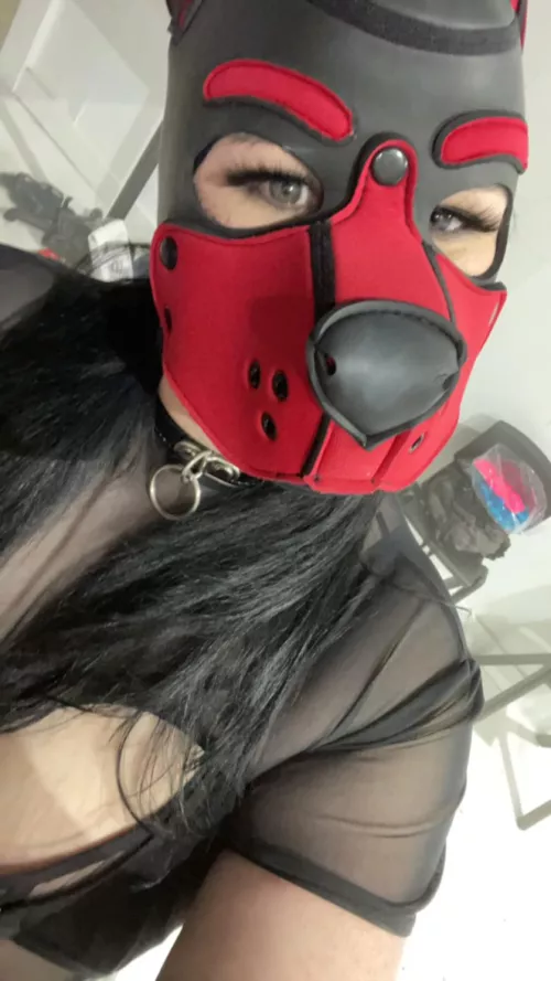 Woof! Daddy let me borrow his hood