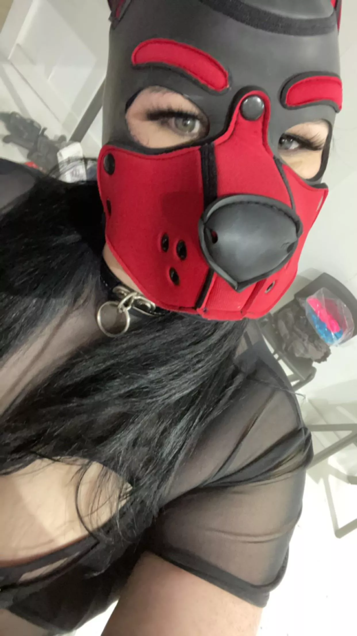 Woof! Daddy let me borrow his hood