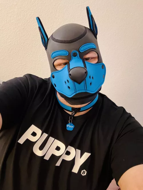 Woof! 🐕🐾 Wish you all a great weekend 🐶🐾 (needs cuddles)