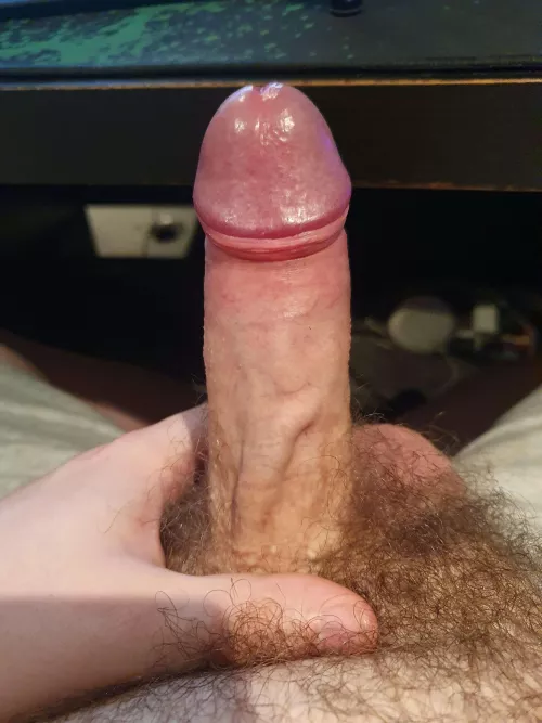 25 [M] Use this virgin cock