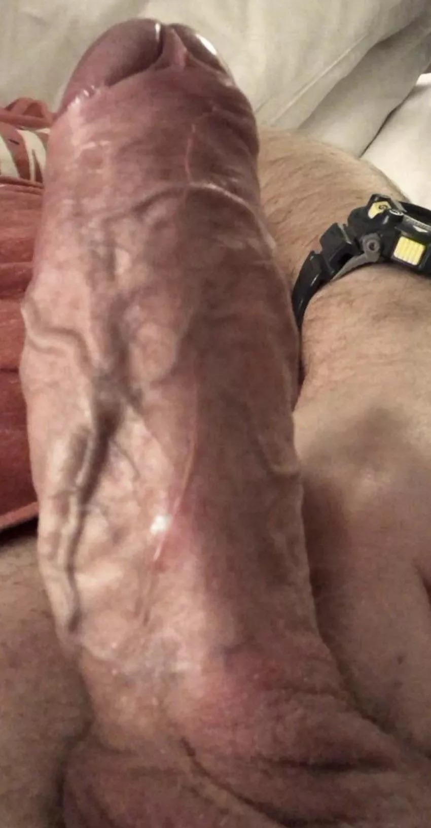 [42] Dad with girth if you like that sort of thing?