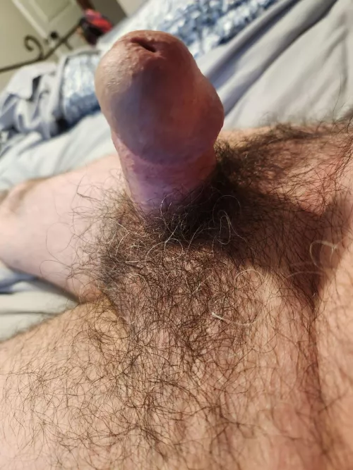 (58) are smaller dicks welcomed...see so many huge ones