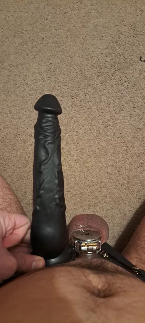 9 inch dildo and a -1 inch dick