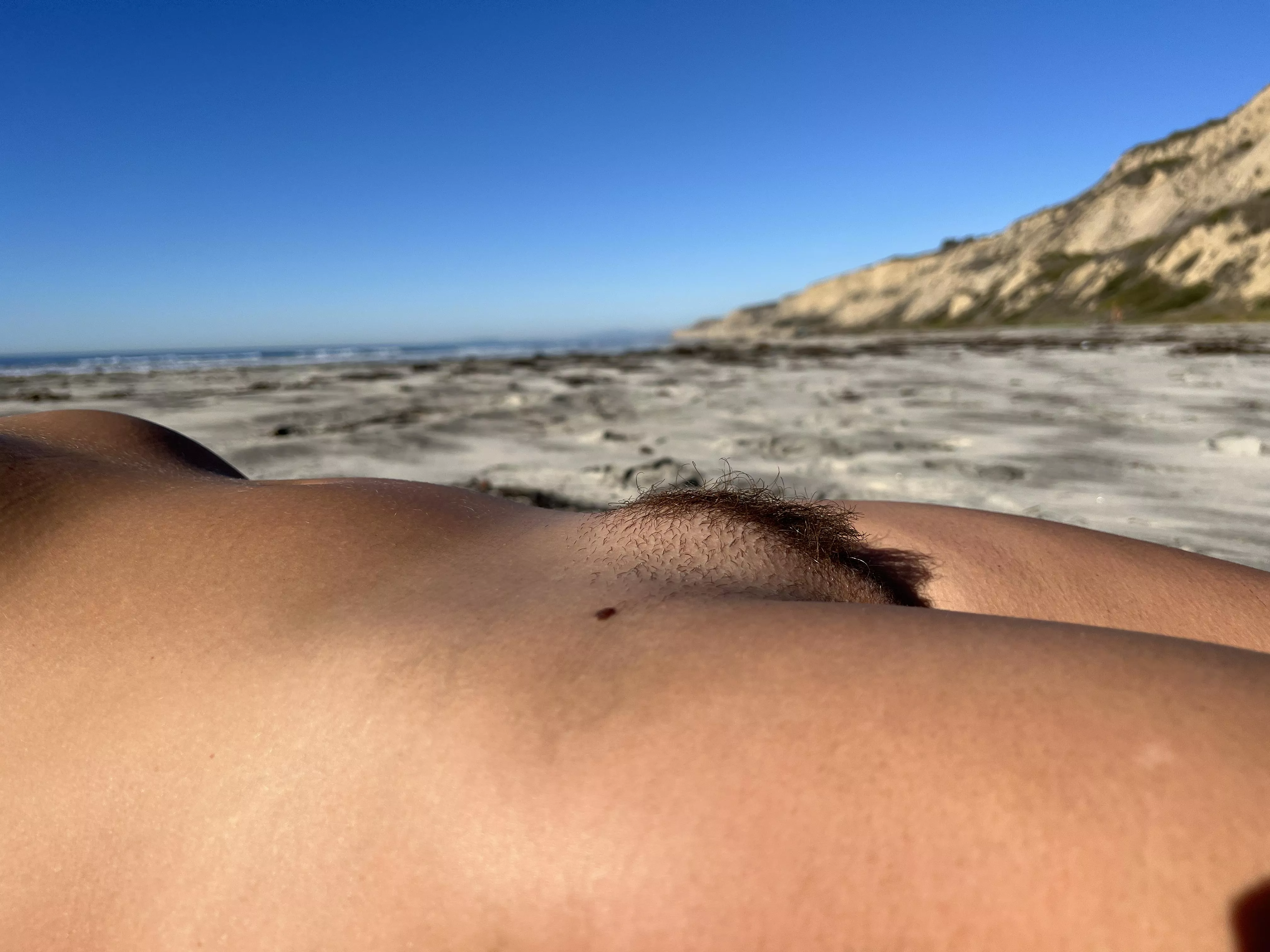 A wild bush on the beach.