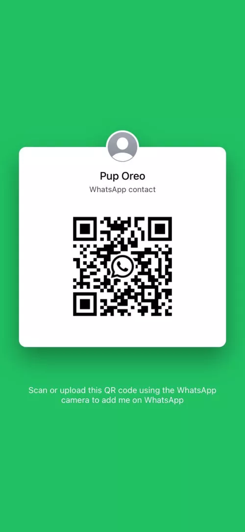 Any pups here have whatsapp? 🐶🐾❤️