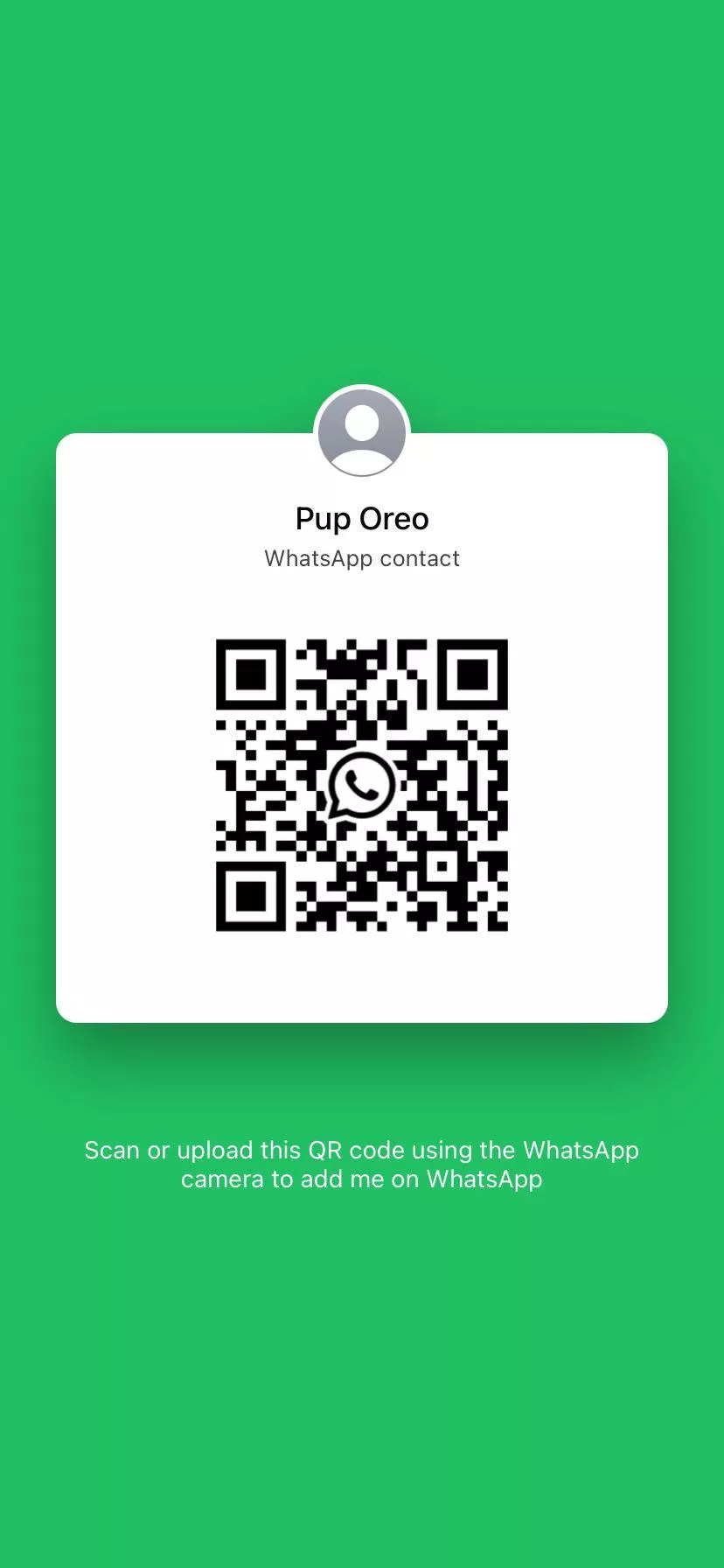 Any pups here have whatsapp? 🐶🐾❤️