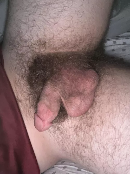 Are my pubes adequate?? My DMs are open ;)