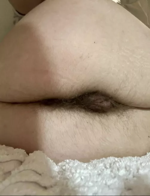 Are you eating my hairy ass or pussy first?