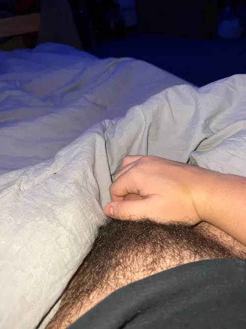 Bush is getting crazy what do I do guys?