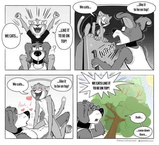 Cats Do Be Like That~ (NikRaccoom)