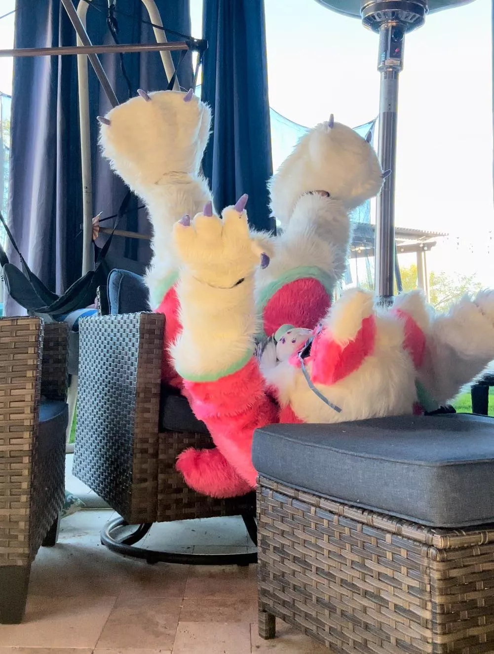 Do you ever look at someone and wonder: “what is going on inside their head?”