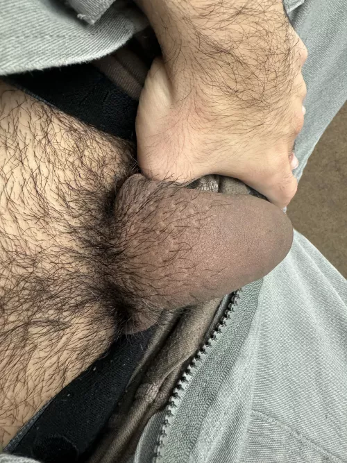 Growing it out again