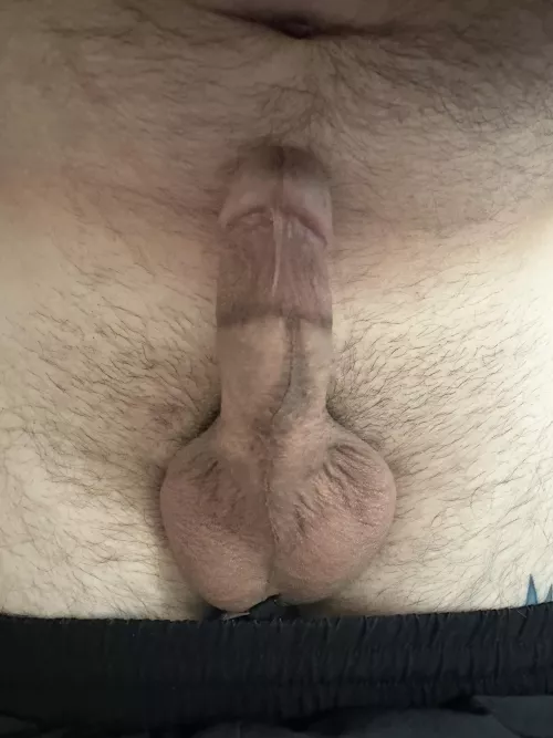 Hope this makes your night better