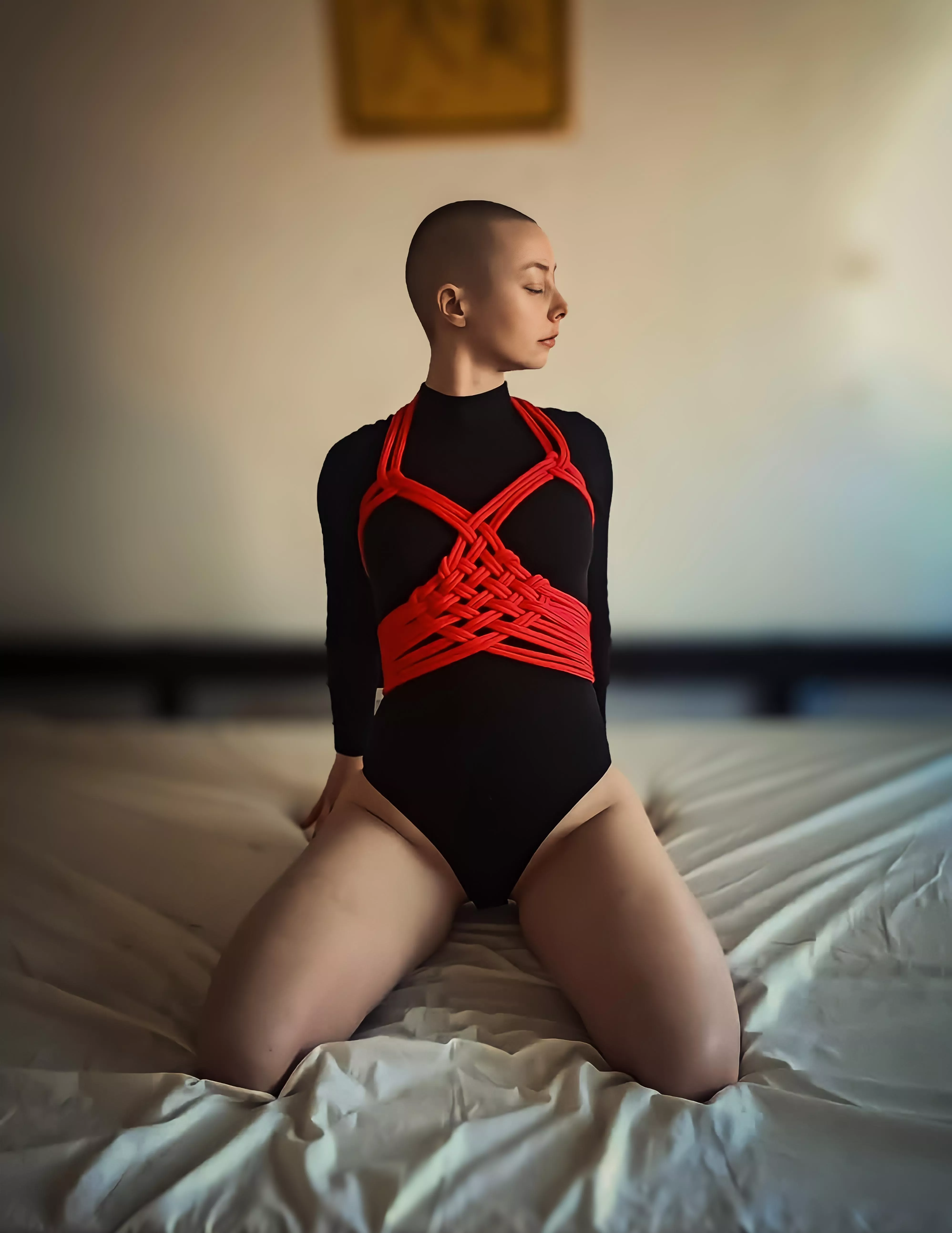 It's been awhile since my last chest harness.