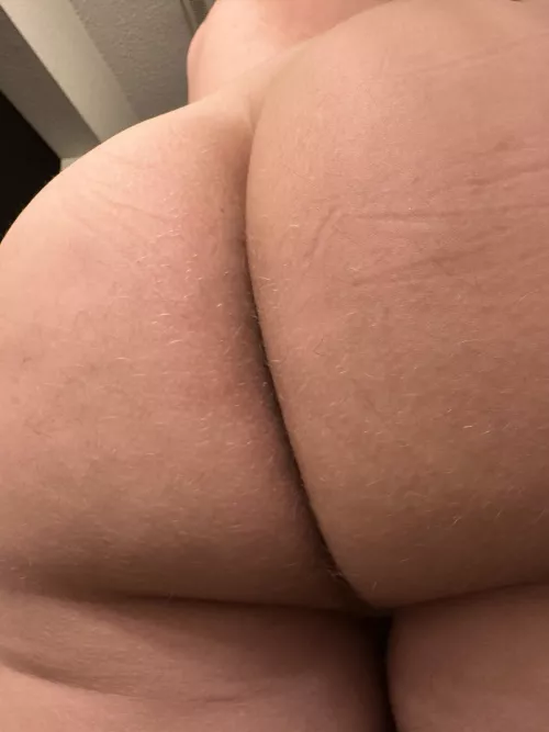 Need a bear to come maul me 😏