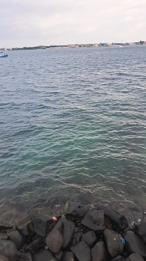 Nice Sea (Jeddah, KSA 🌊 )