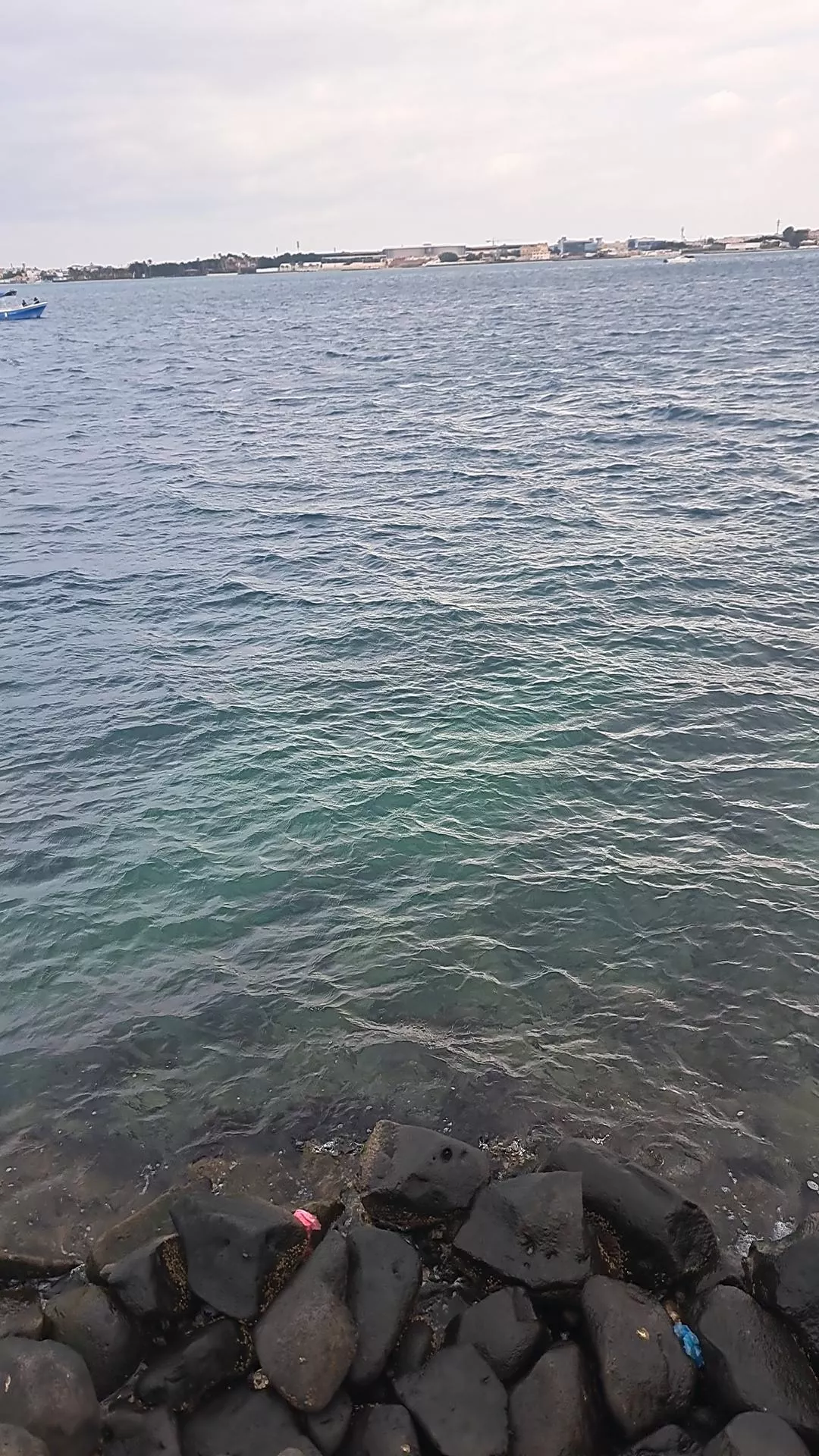 Nice Sea (Jeddah, KSA 🌊 )