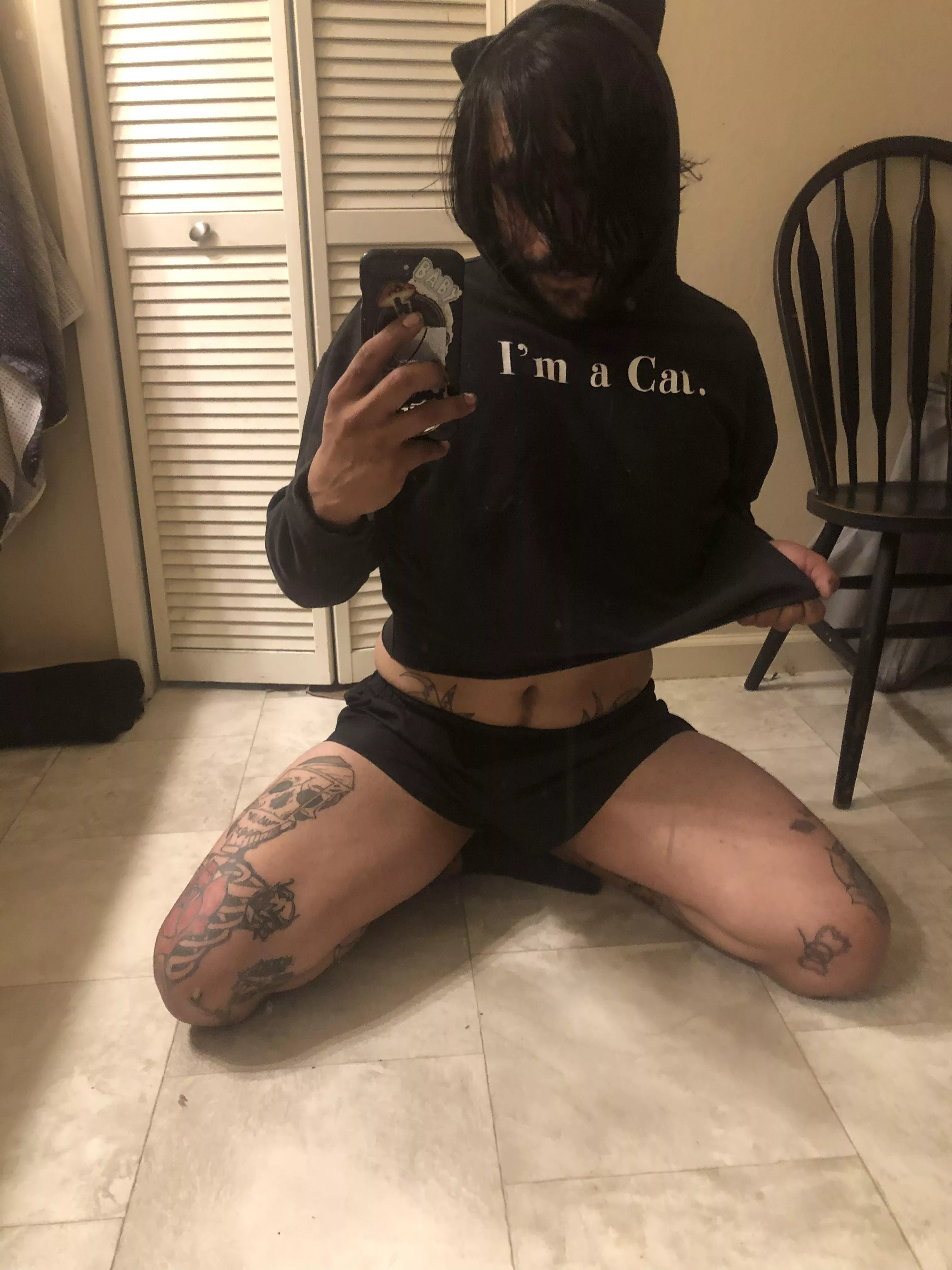 Pet me, I’m an Otter Cat 🐈‍⬛