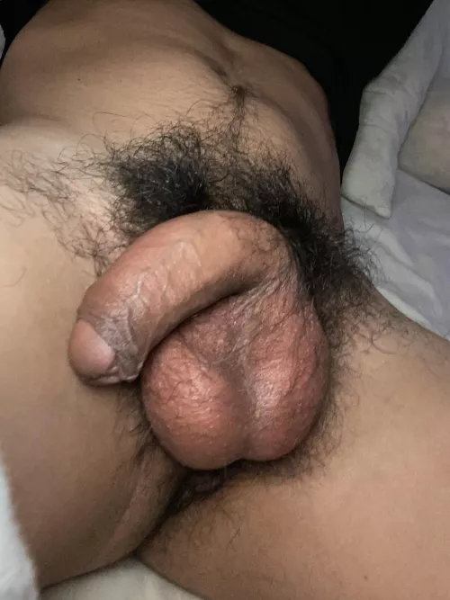 Play with my ball’s please