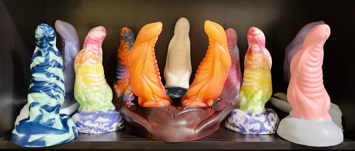 Shark Shelf Hu-Ha-Ha