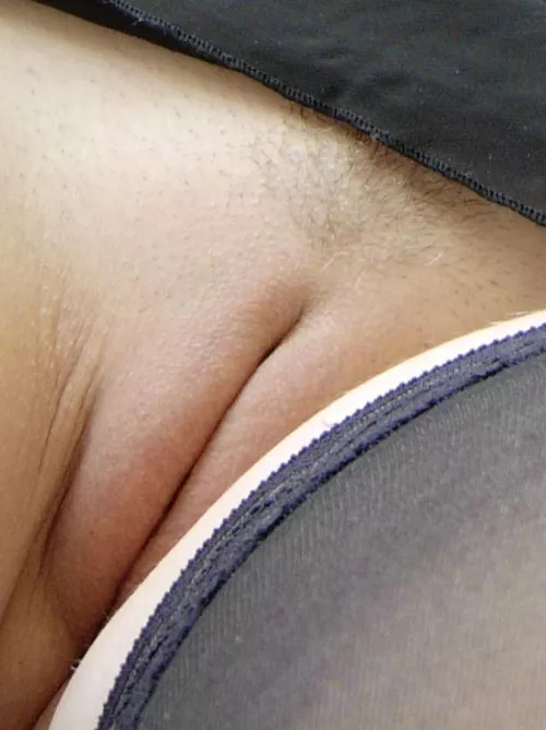 Thank Gall It’s Friday