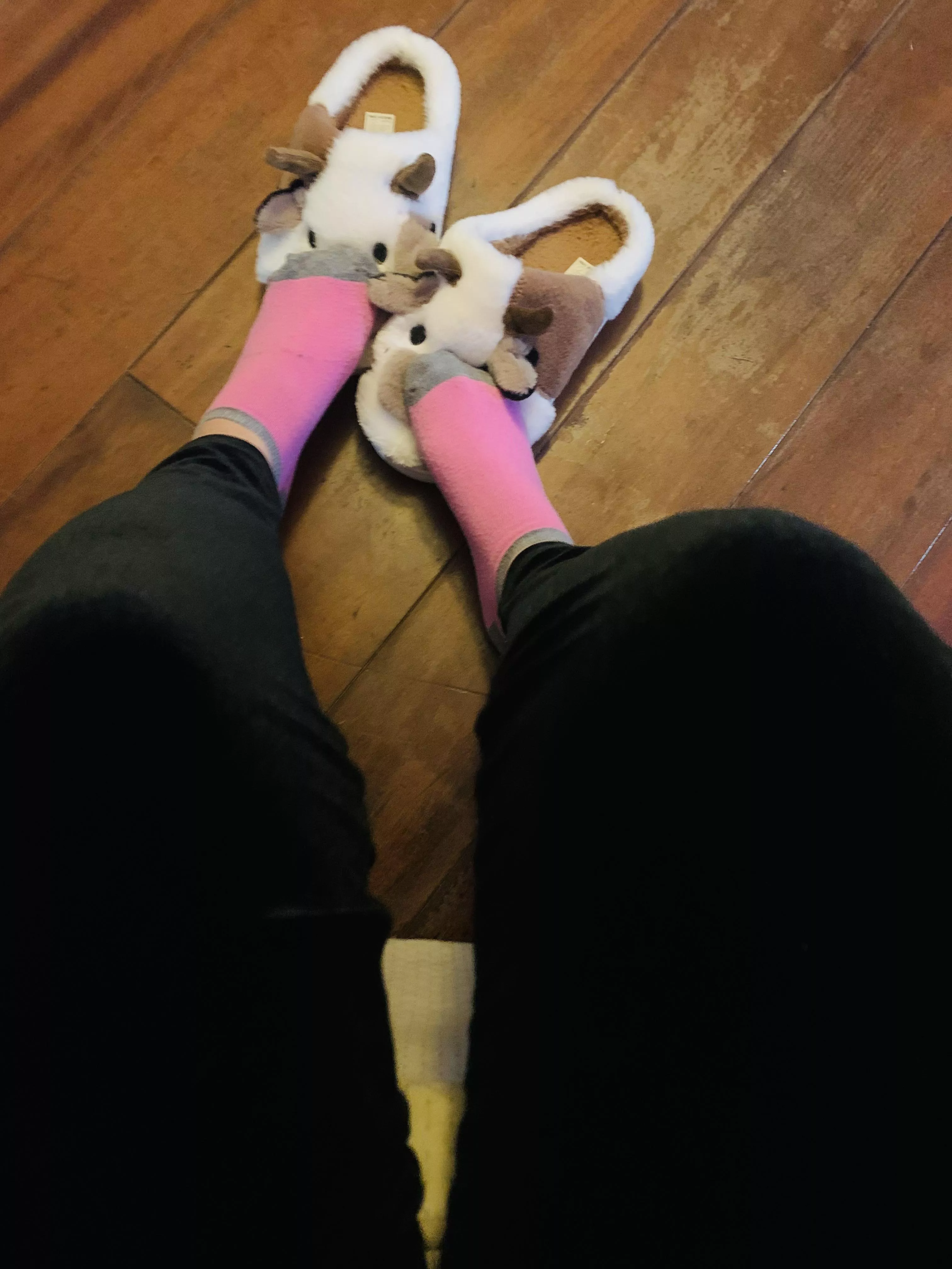 these socks are making my slippers smelly ;)