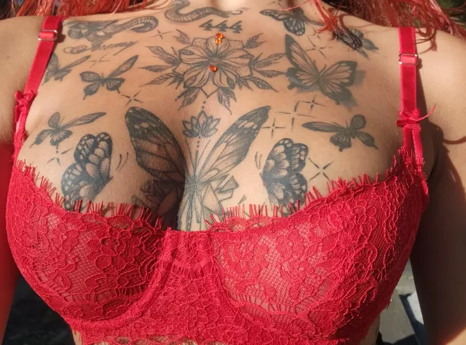 They are here waiting for you to lick them