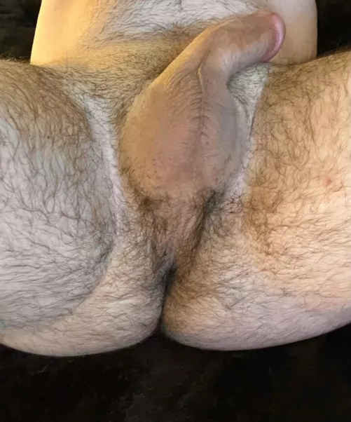 What do you think of my hairy taint?