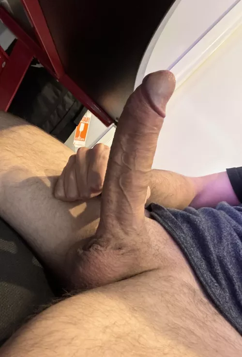 Will you help me with my study break?