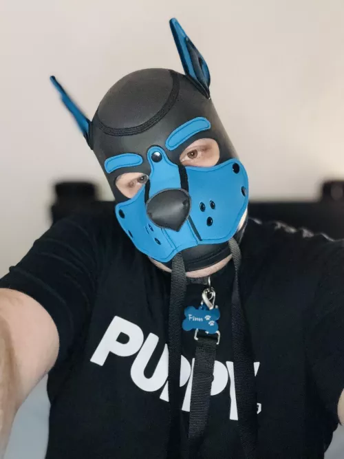 Woof! 🐾 Pup Finn is ready for a walk 🦮