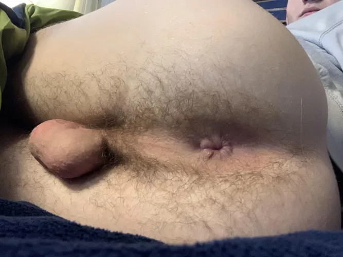 Would you eat my hairy ass